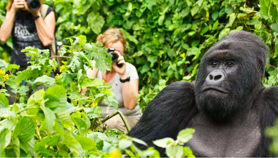 Best Places Rwanda